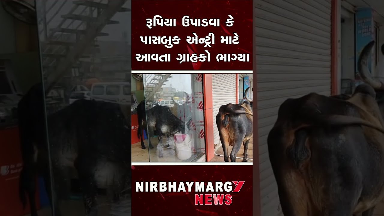  વિસનગરમાં સીટી પોલીસના નાક નીચે LCB એ જુગારધામ ઝડપ્યું || GAMBLING || VISNAGAR ||